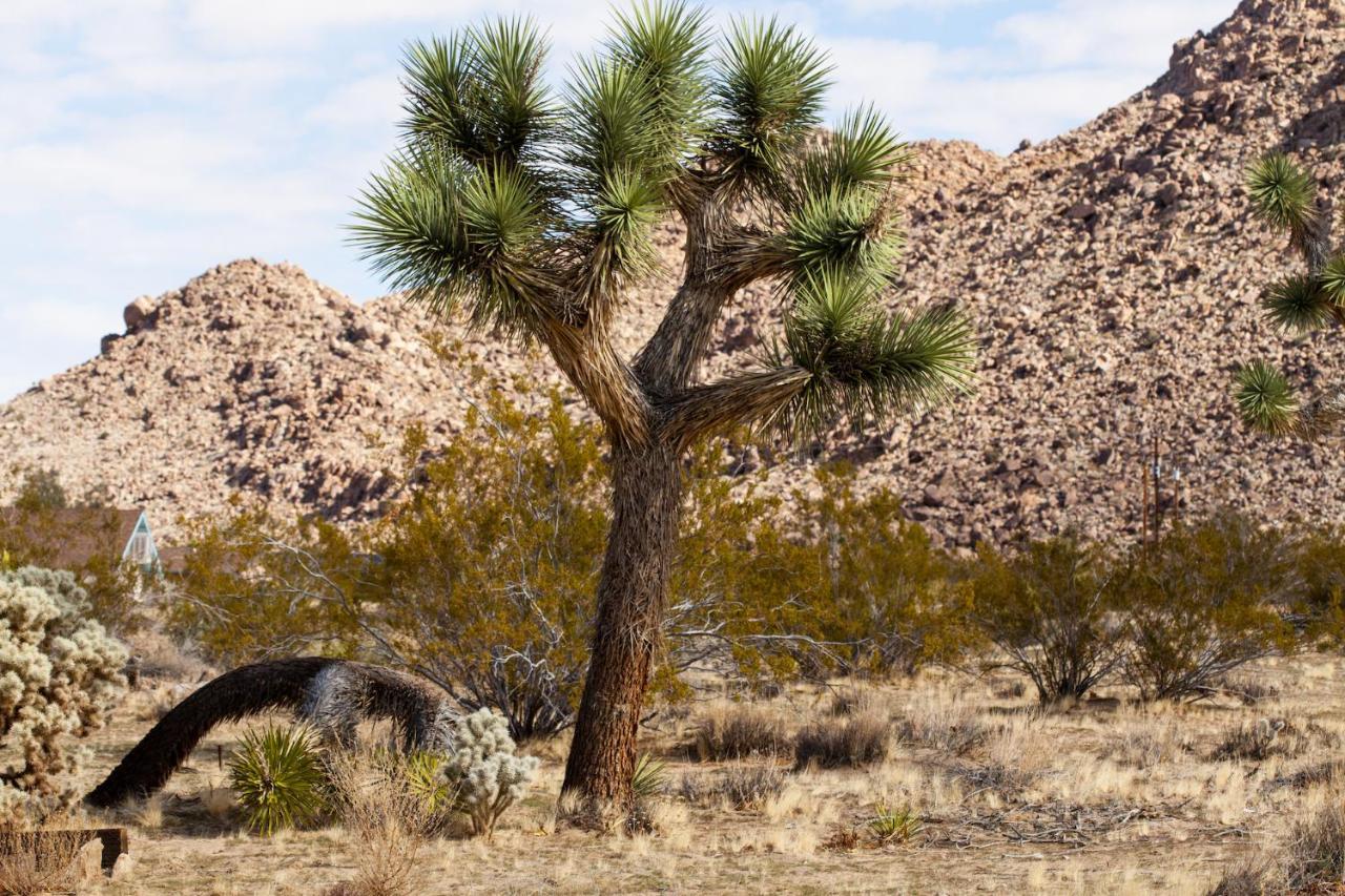 Holiday home @ Marbella Lane - 10 Acres Oasis Desert Retreat! Joshua Tree